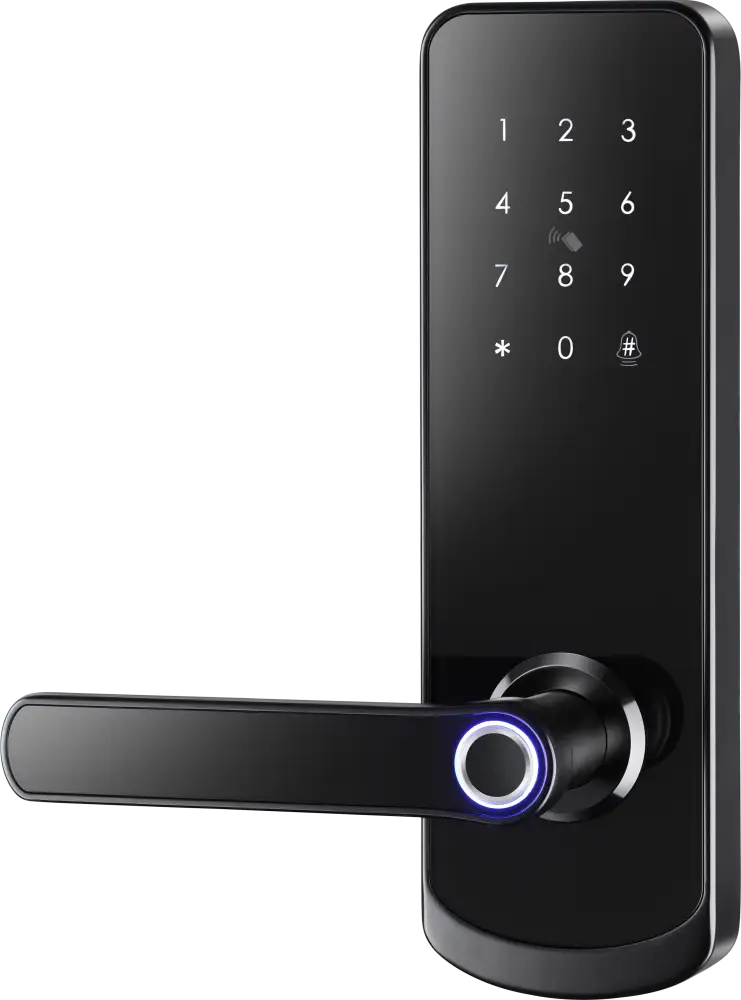 OmniEntry Smart Door Lock - Black