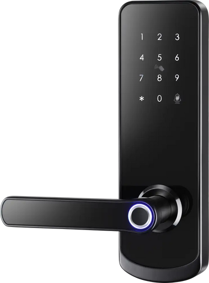 OmniEntry Smart Door Lock - Black