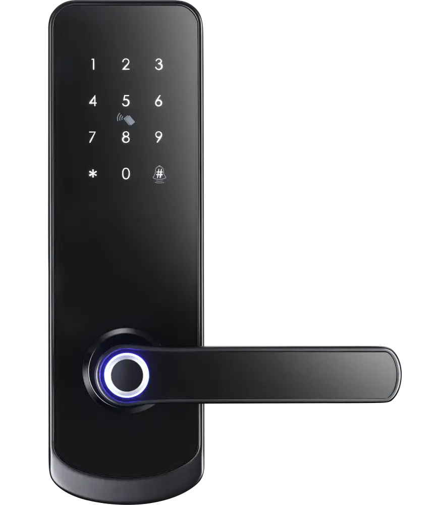 OmniEntry Smart Door Lock - Black